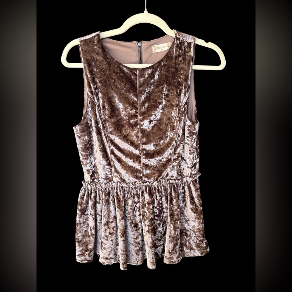 Altar'd State Brown/Taupe Crushed Velvet Velour Top Size Medium